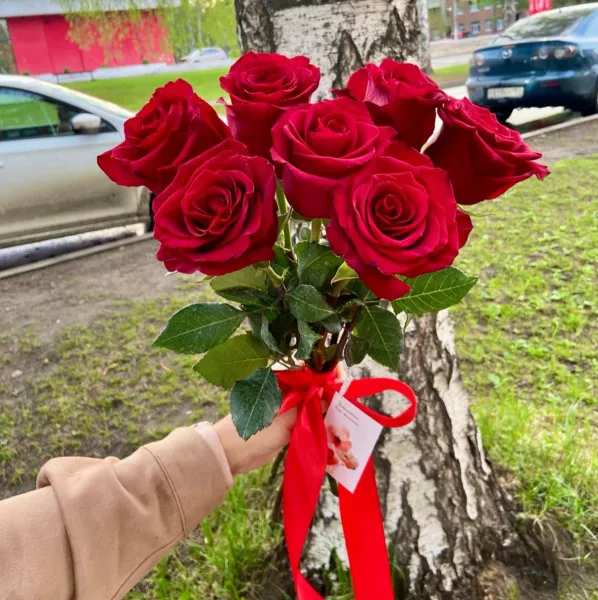 7 красных роз под ленту
