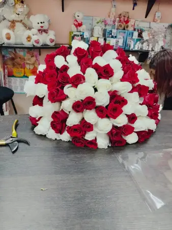 101 красно-белая роза