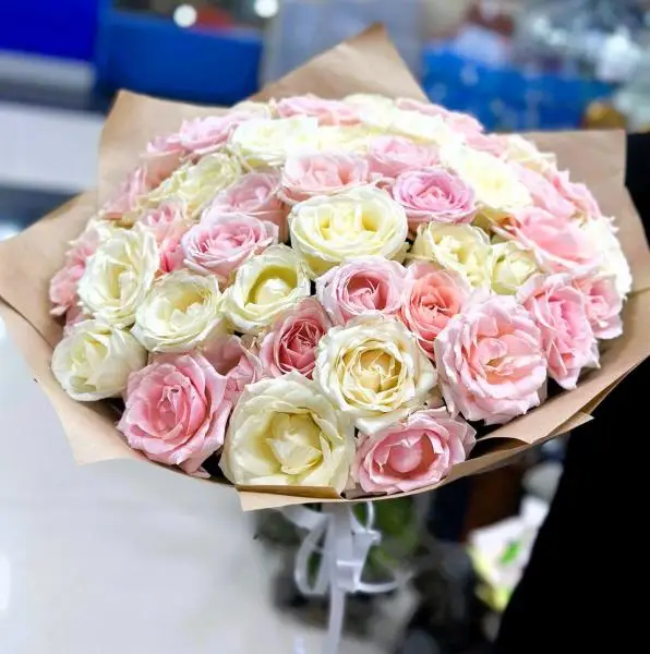 51 пионовидная  белая и розовая роза