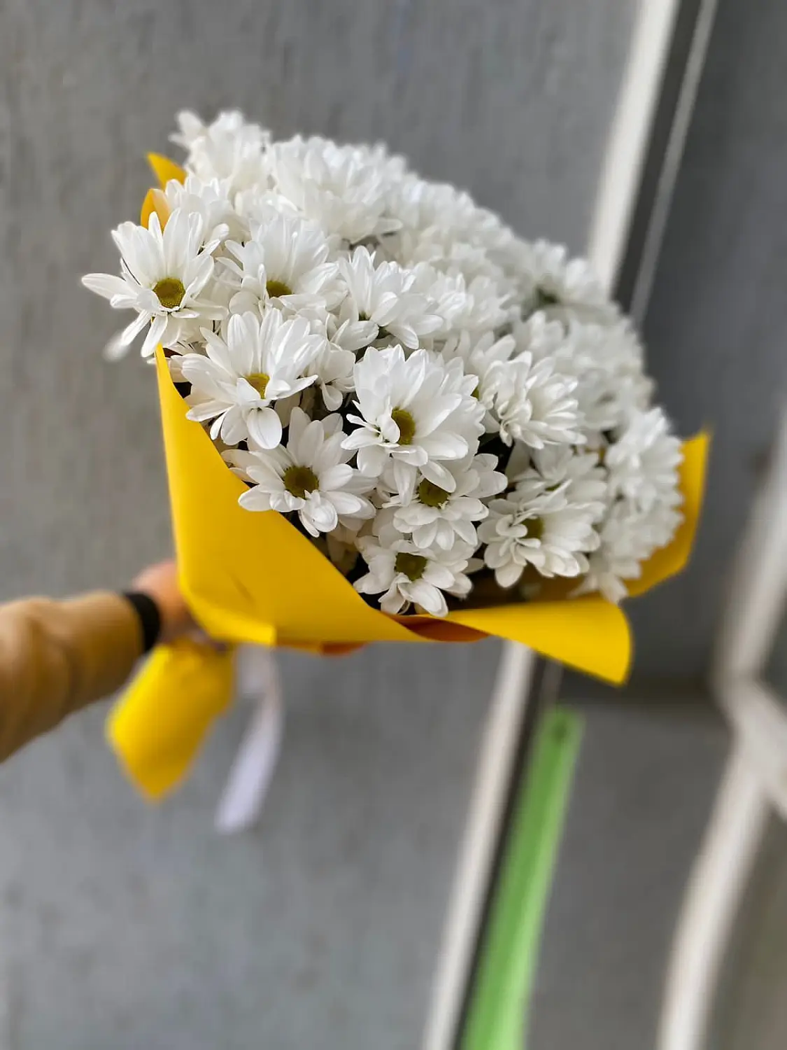 Букет из белых ромашек 