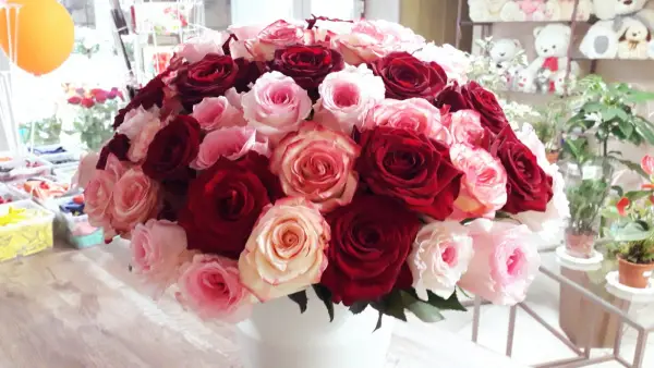 51 красная белая и розовая роза