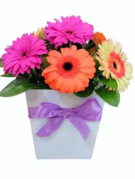 Доброе утро