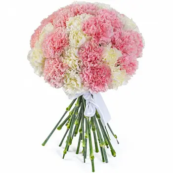 Микс из гвоздик