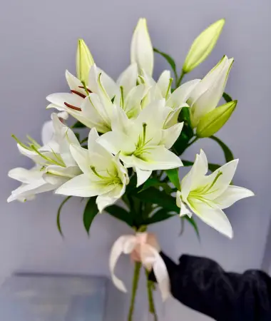 Лилии под ленту 