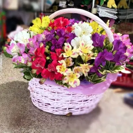 Взрыв эмоций